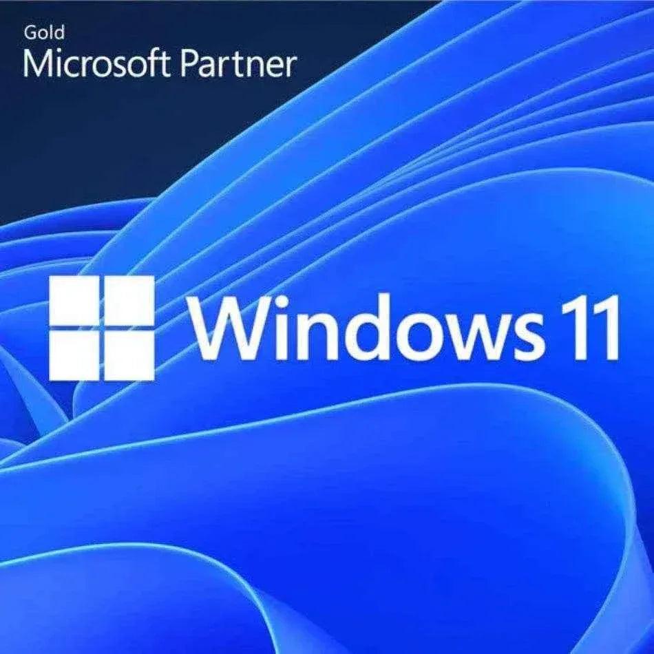Microsoft Windows 11 Enterprise LTSC 2024 Software - ustrustedtech