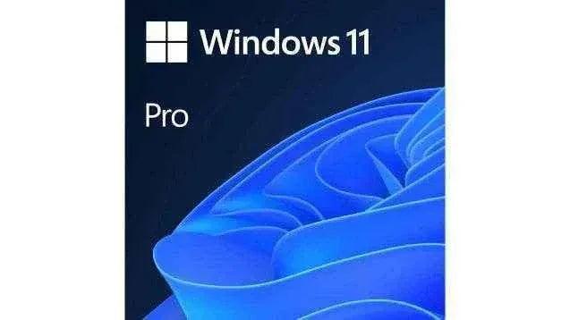 Microsoft Windows 11 Pro license - 1 PC Digital Key - ustrustedtech
